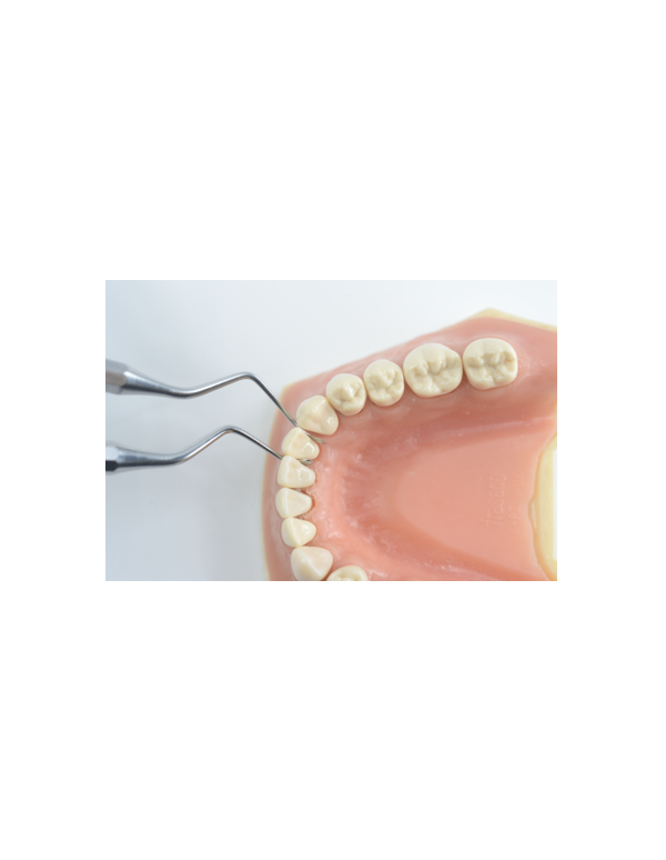 Tunneling Knife - TKS