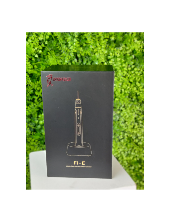 Sistema de injeção elétrica de guta-percha FI- E