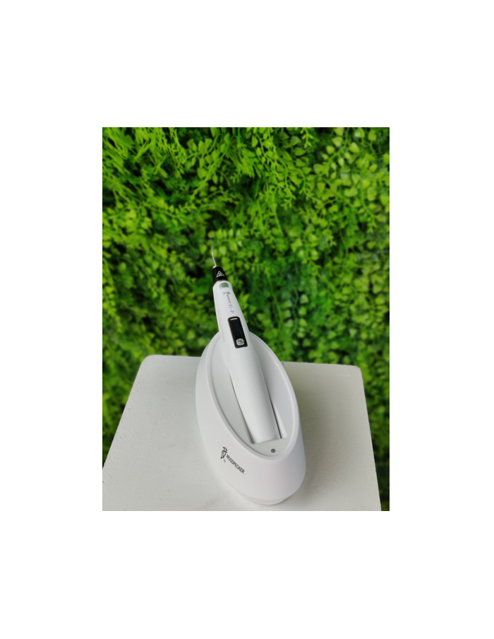 Sistema de condensação Fi-P Woodpecker