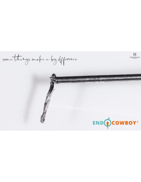 EndoCowboy