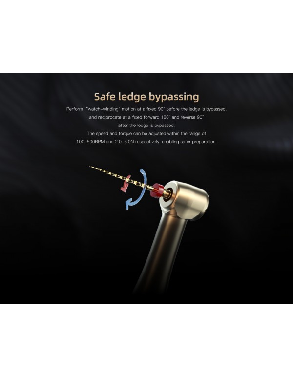 Ai Motor - BLACK EDITION - YOSHI TERAUCHI Version