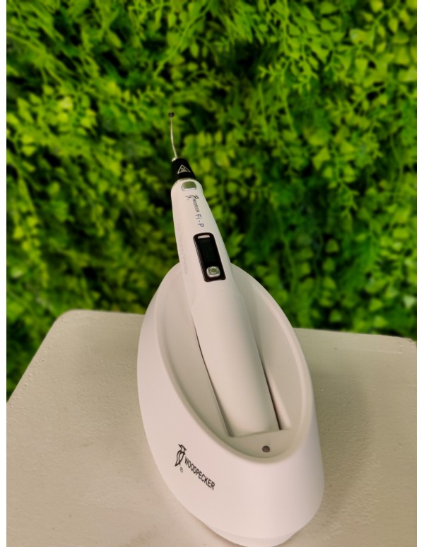 Sistema de obturação Fi-P + Fi-E Woodpecker