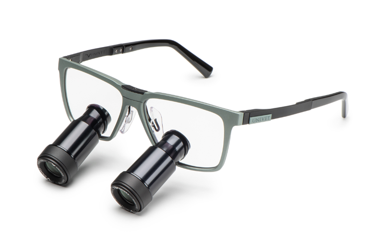 Univet ONE - Desert Sage - Prismatic