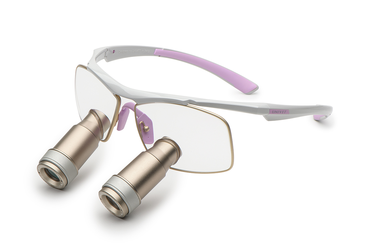 Univet TECHNE - Shiny Wisteria - Prismatic
