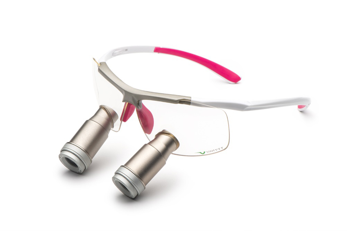 Univet TECHNE - White Pink - Prismatic
